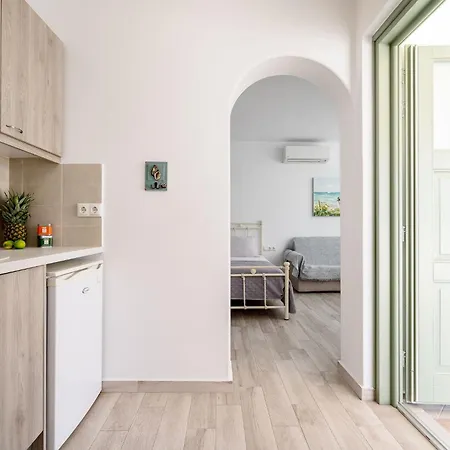 Kastro Lejlighed Naxos City