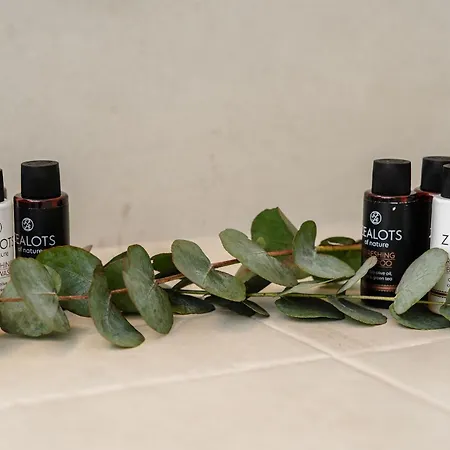 Kastro Apartment Naxos City