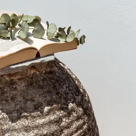 Kastro Apartment Naxos City