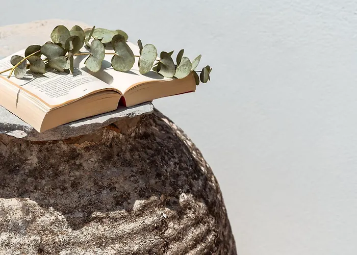 Kastro Apartment Naxos City